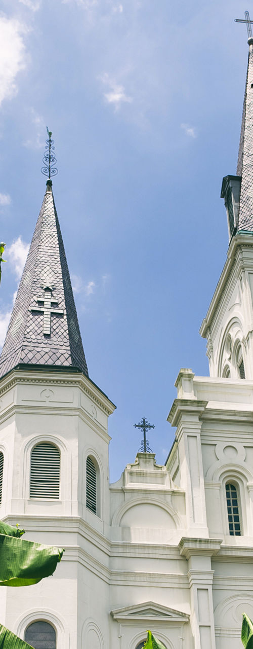 Historic cathedral with tropical foliage