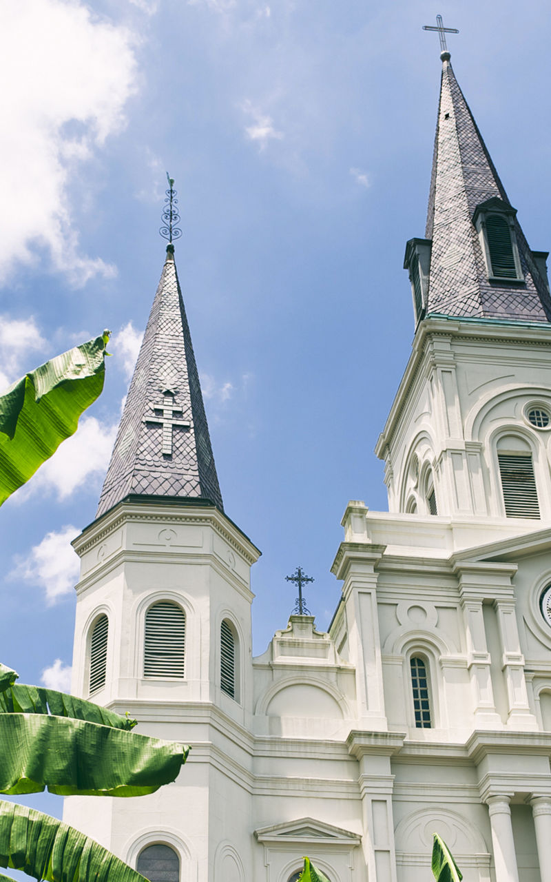Historic cathedral with tropical foliage
