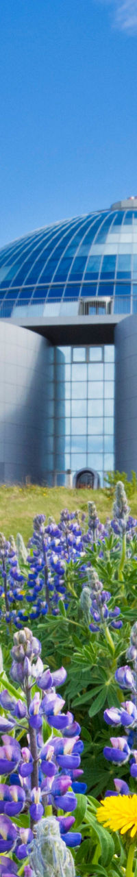 Modern dome building with lupine flowers