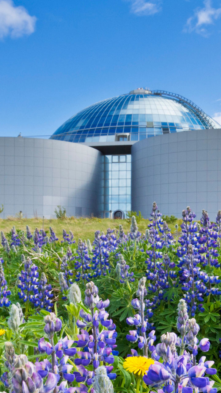 Modern dome building with lupine flowers