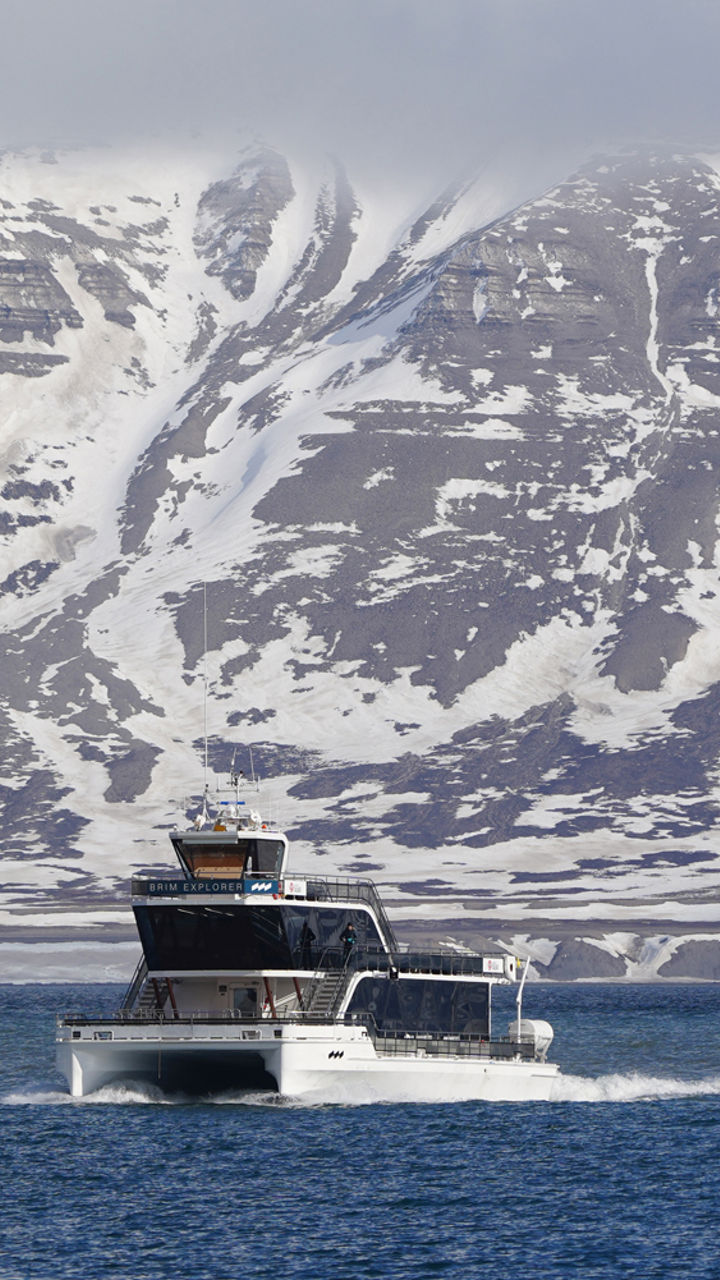 Catamaran Fjord Safari