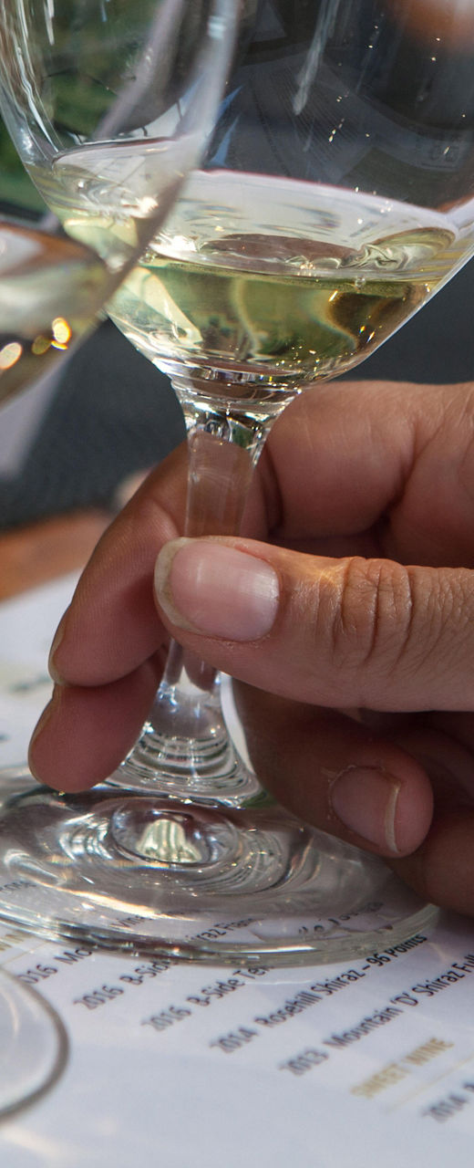 Wine tasting with glasses and menu