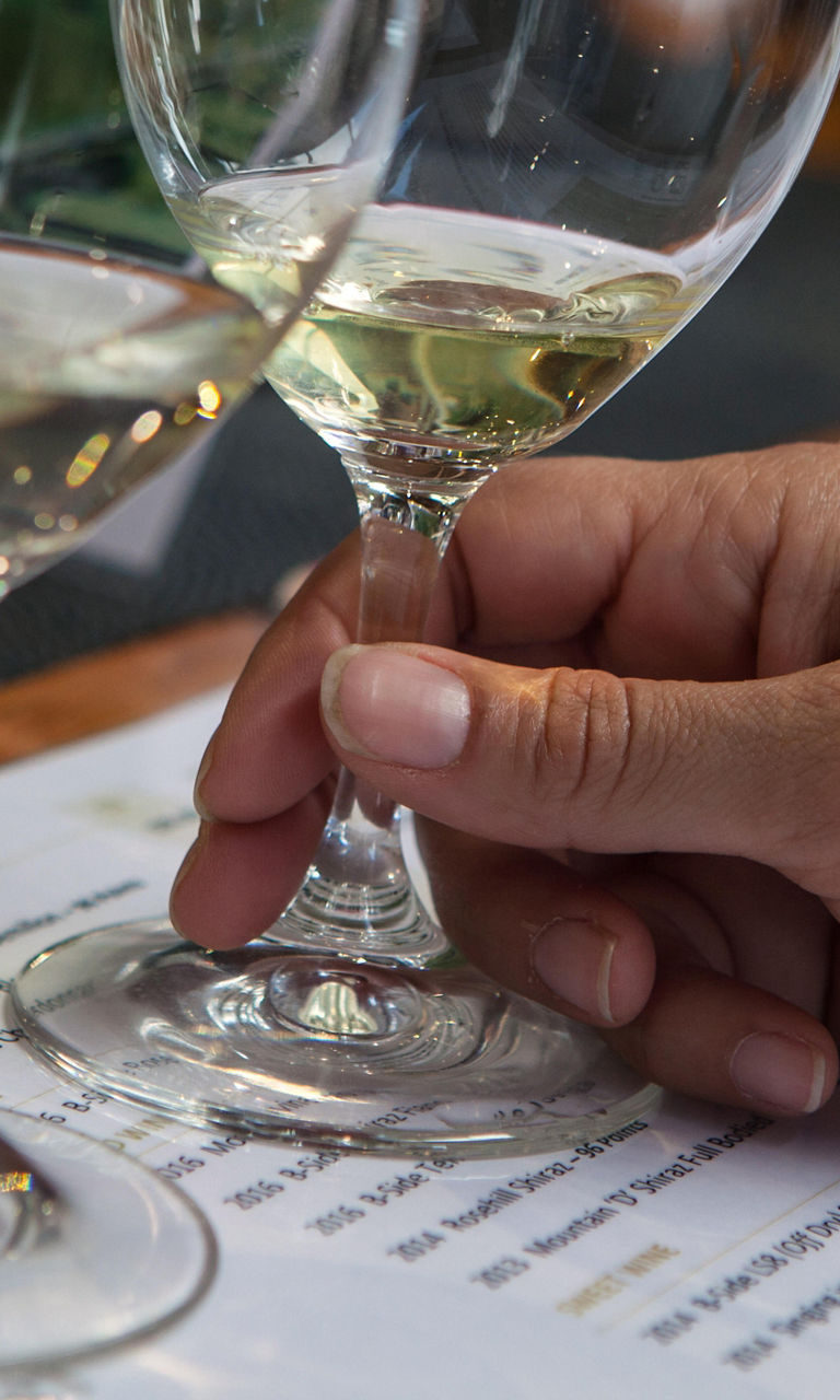 Wine tasting with glasses and menu