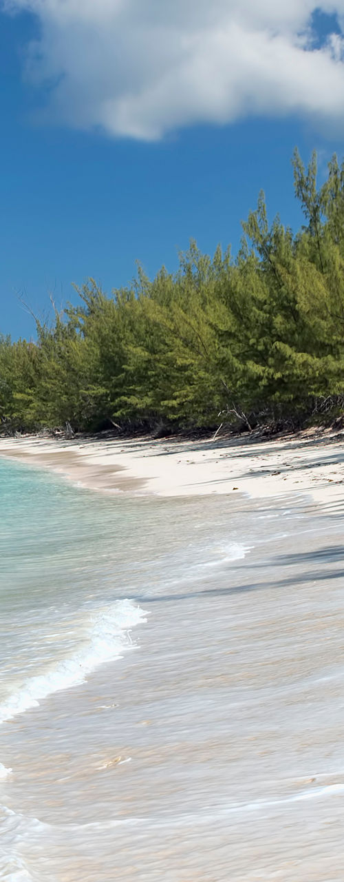 Sunny tropical beach with turquoise shoreline