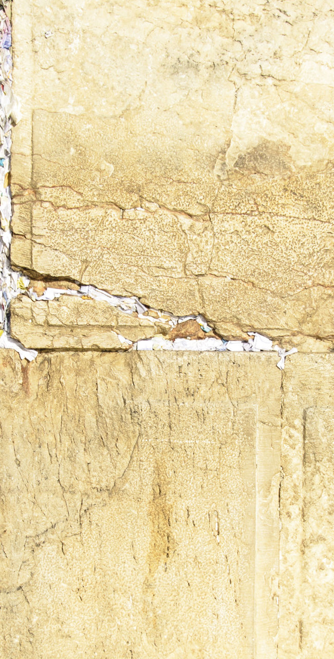 Man praying at Western Wall