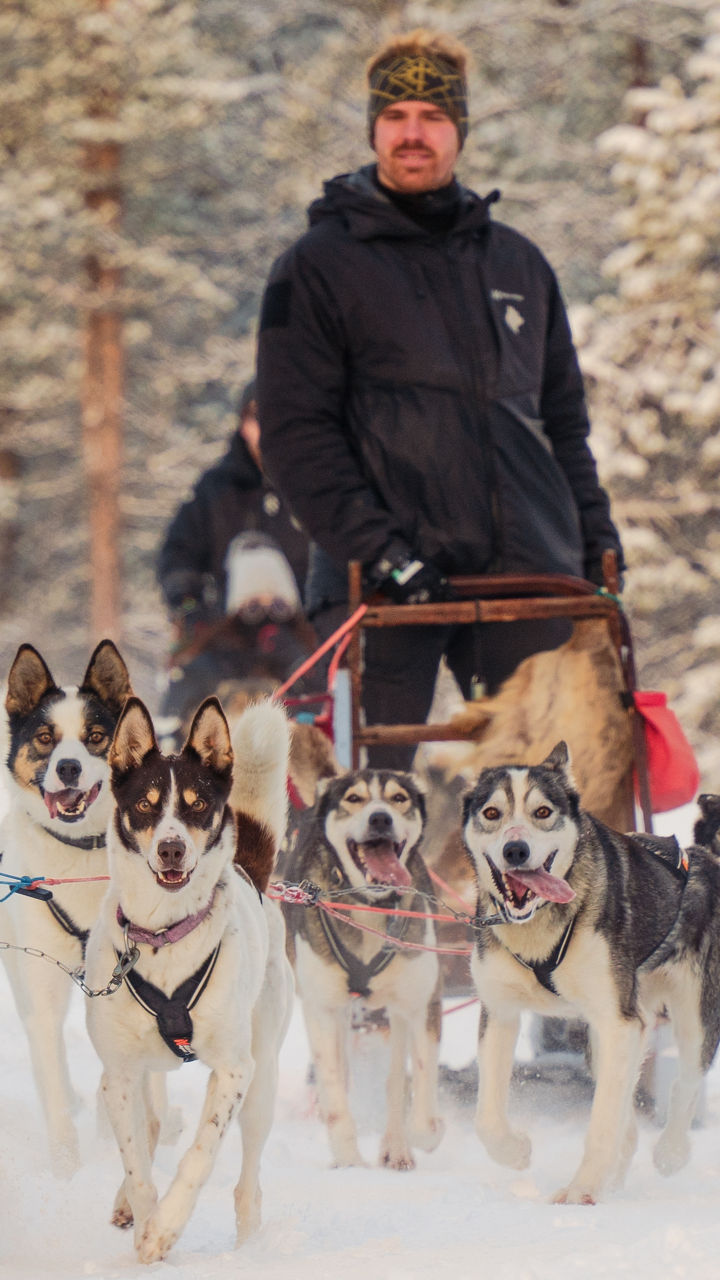 Dog Sledding & Storytelling