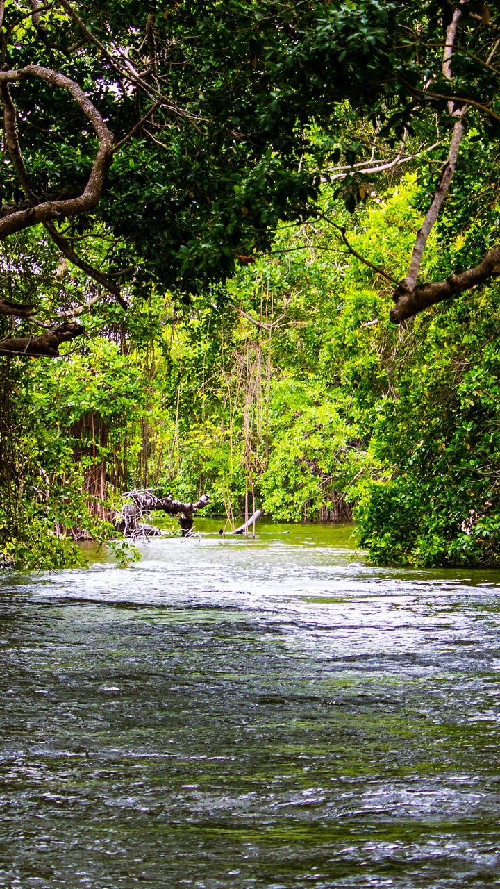Belize Heritage Experience & Airboat Ride
