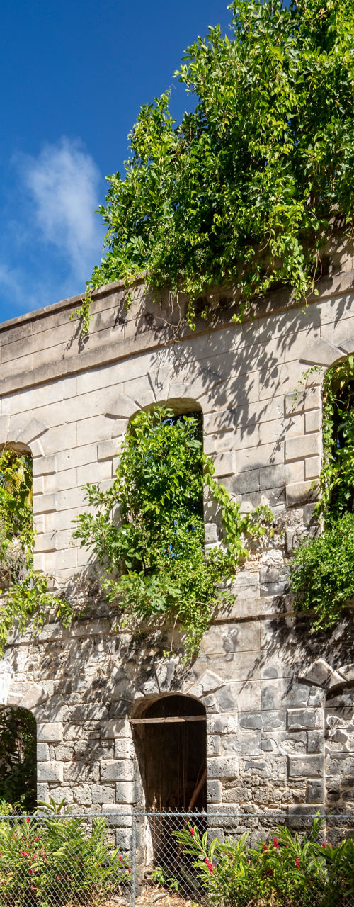 Historic stone building surrounded by greenery