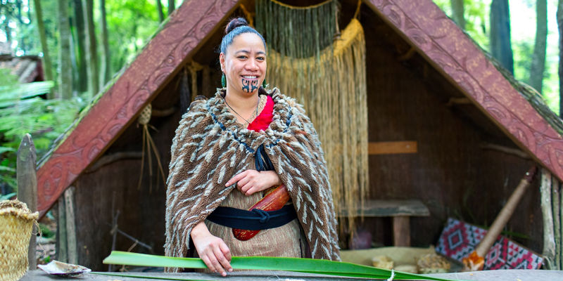 Traditional hut with indigenous craft display