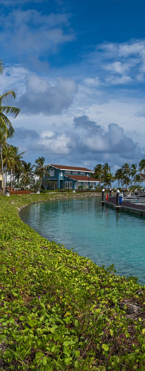 Tropical marina with colorful buildings and boats