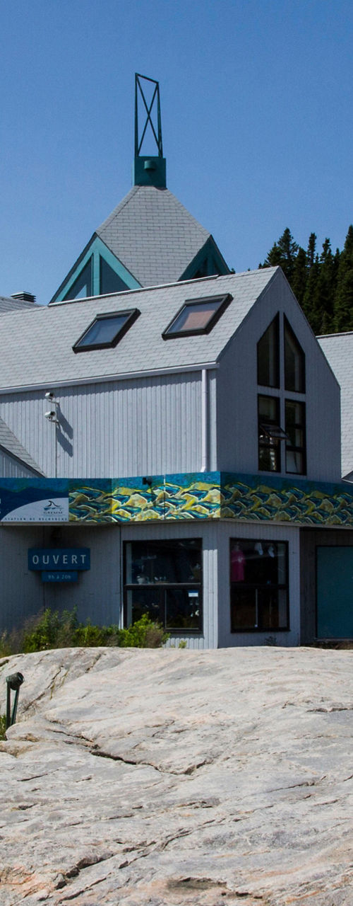 White whale sculpture near modern building