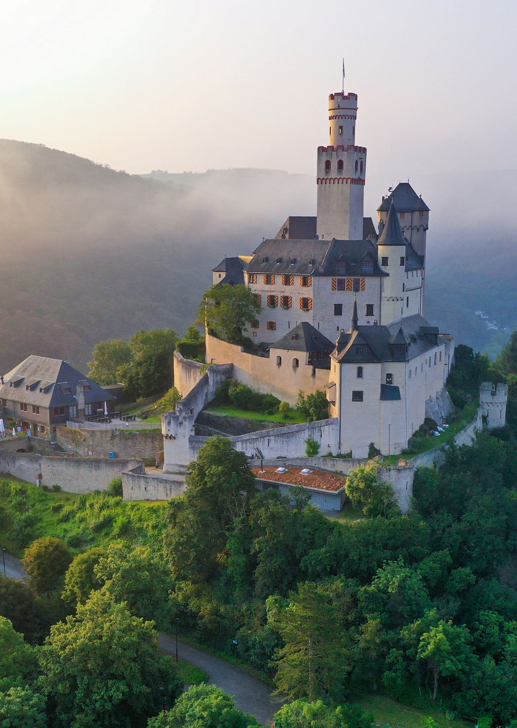 Hilltop castle surrounded by lush forest