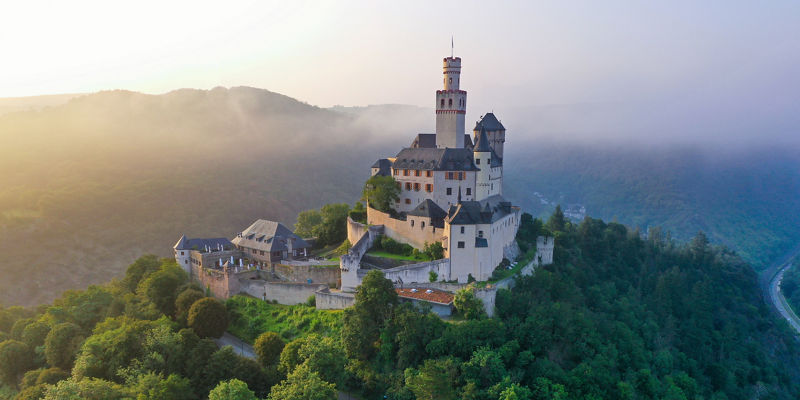 Hilltop castle surrounded by lush forest