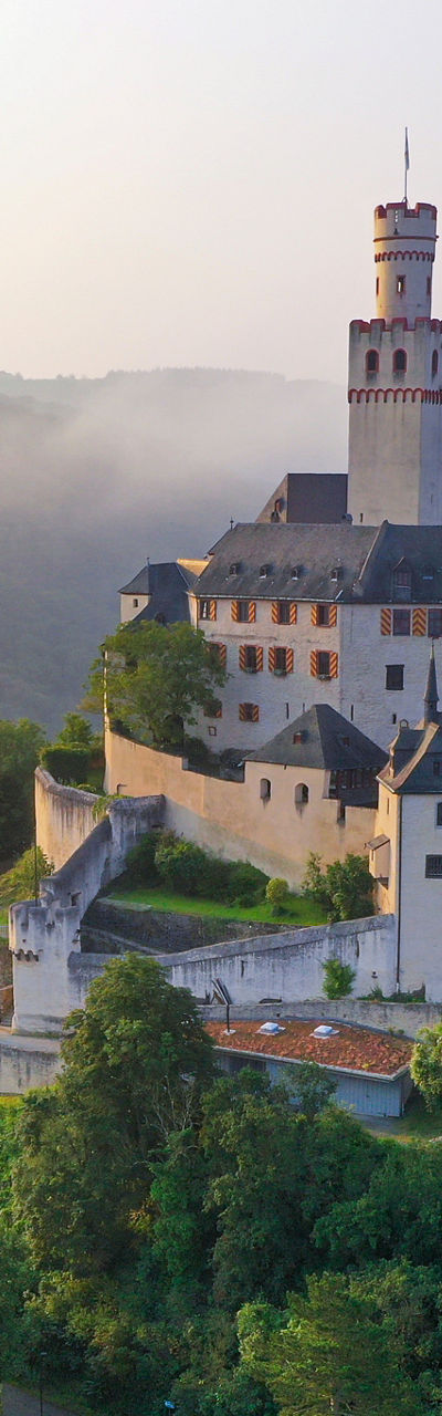 Hilltop castle surrounded by lush forest