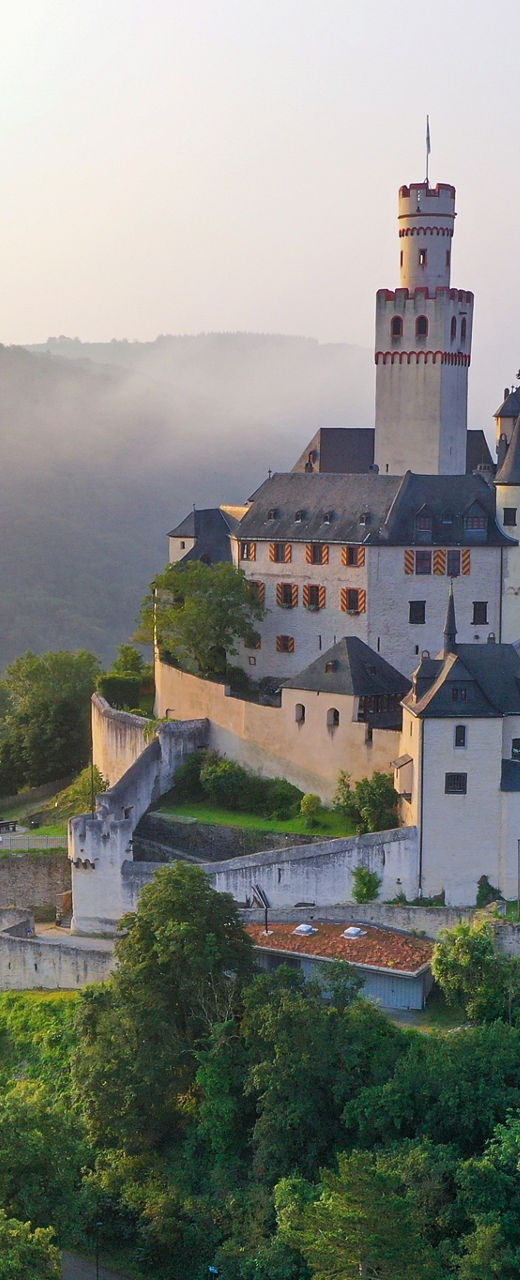 Hilltop castle surrounded by lush forest