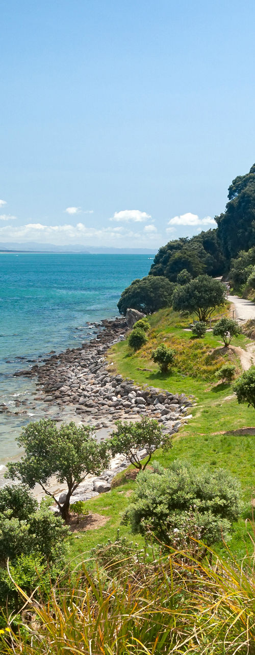 Coastal pathway with ocean view