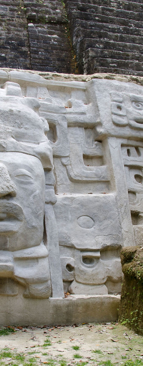 Ancient Mayan stone carving in jungle ruins