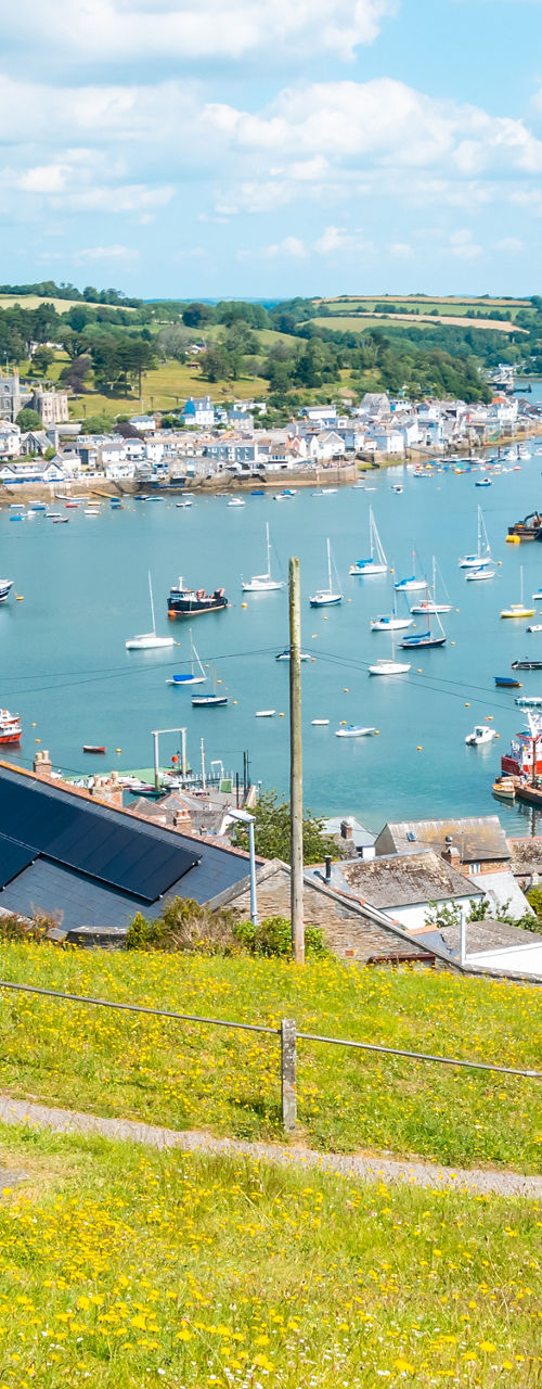 Scenic harbor view with boats and greenery
