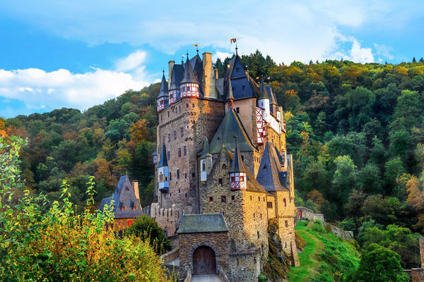 Historic castle surrounded by lush forest