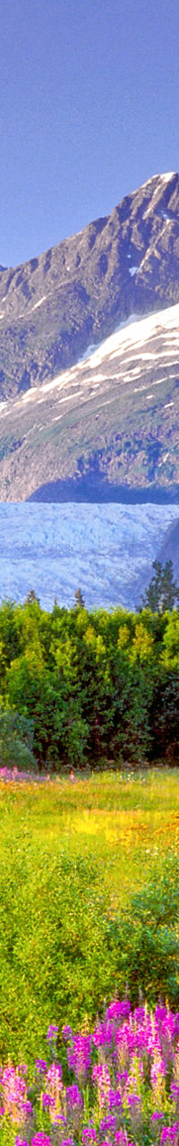 Vibrant meadow with glacier and mountains