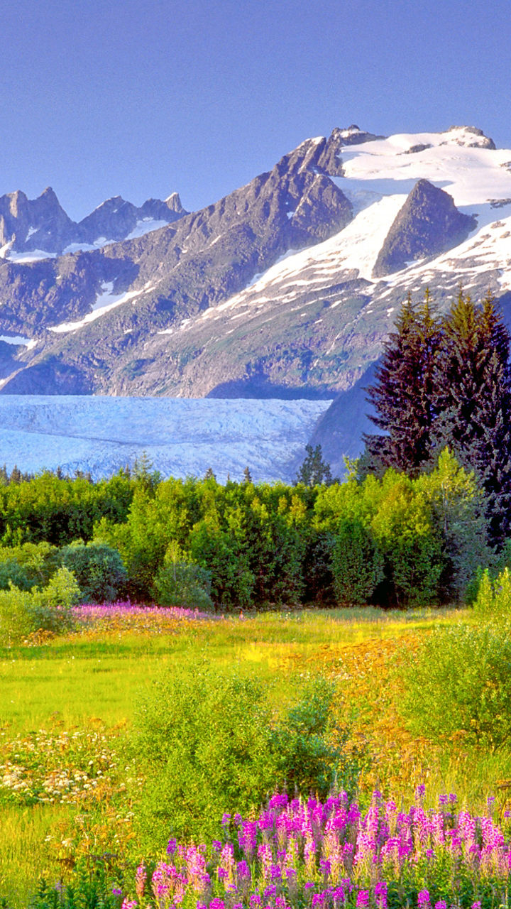 Vibrant meadow with glacier and mountains