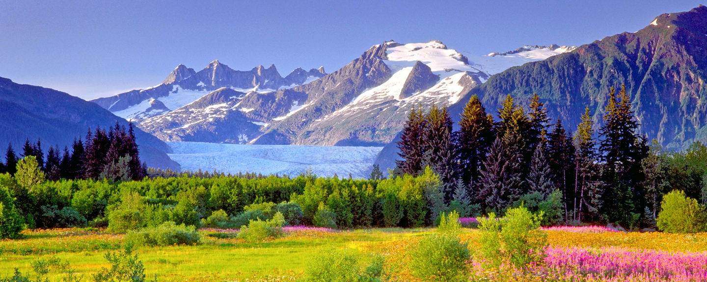 Vibrant meadow with glacier and mountains