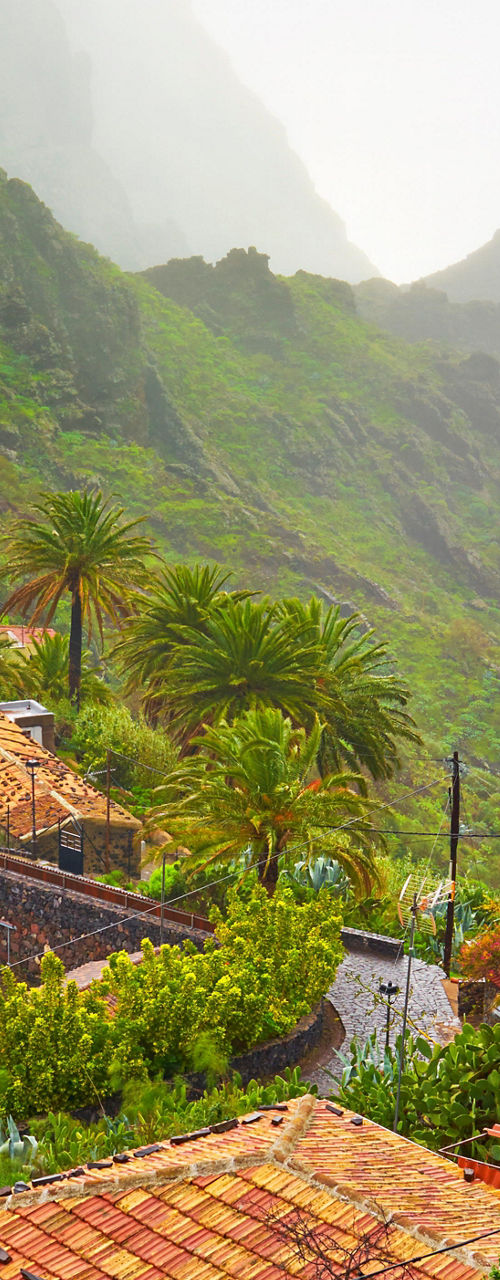 Scenic mountain village with lush greenery
