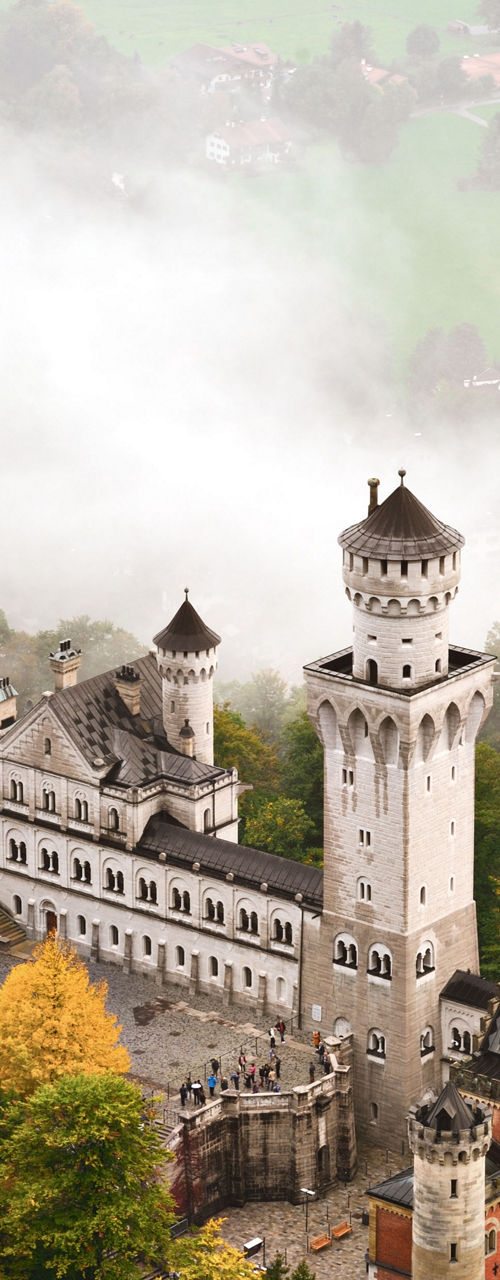 Neuschwanstein Castle in misty forest