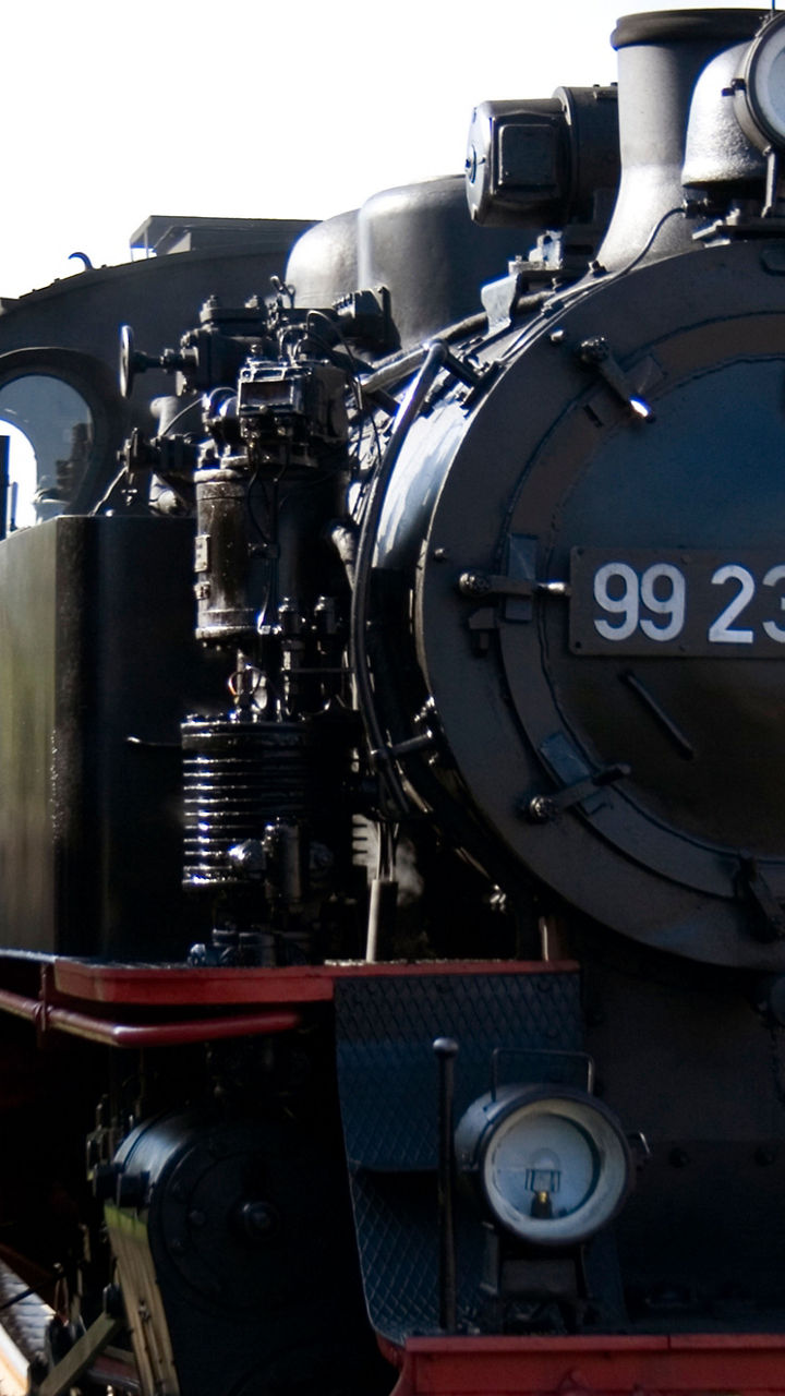 Seaside Splendor by Steam Train: Molli, Kühlungsborn & Doberan Minster
