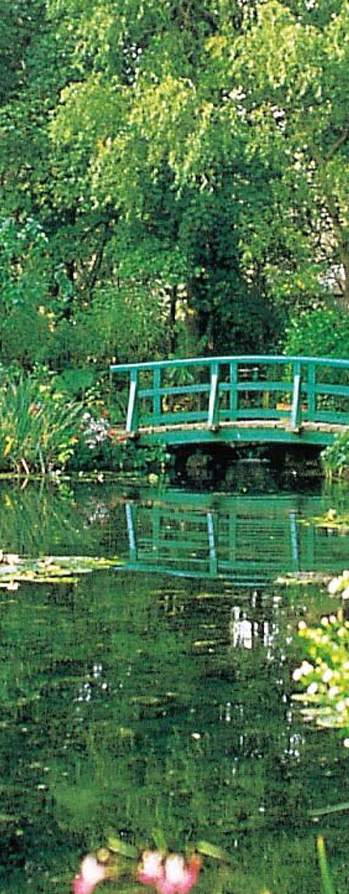 Serene garden pond with wooden bridge