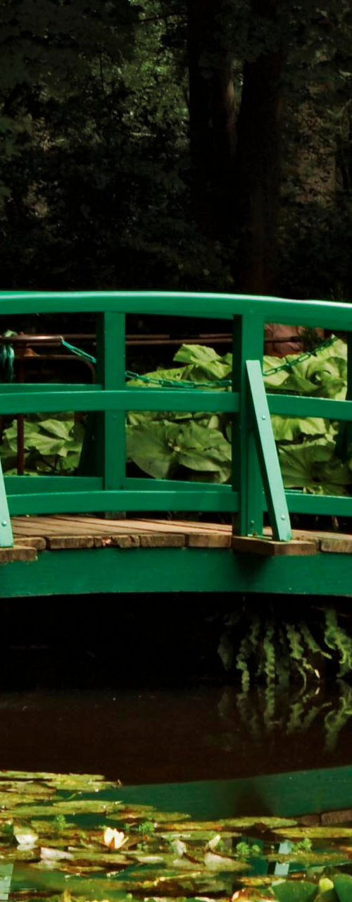 Green garden bridge over lily pond