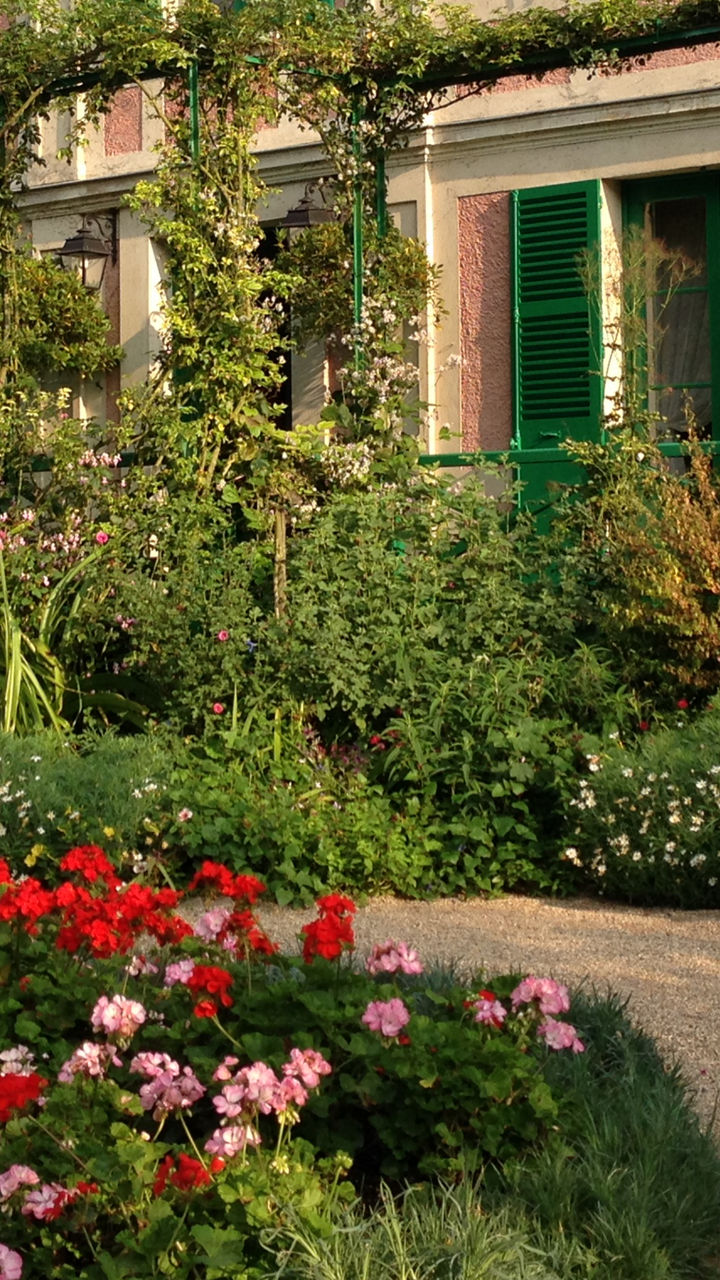 Charming house with lush garden view