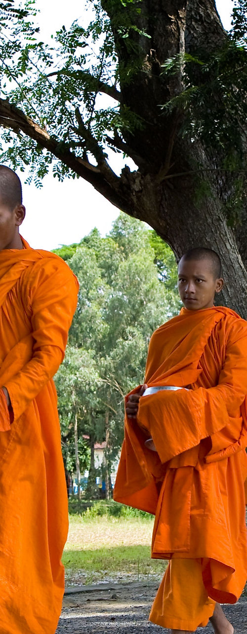 Group of Buddhist monks walking outdoors