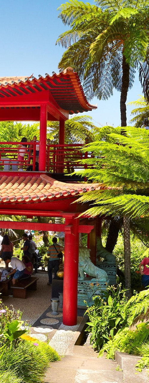 Red pagoda in lush tropical garden