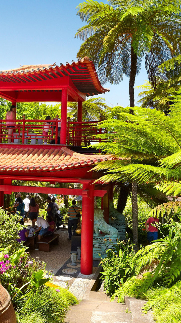 Funchal & Monte Palace Botanical Garden