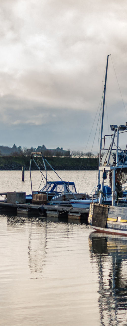 Fishing boats docked at serene harbor