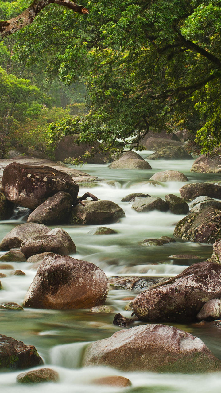 Mossman Gorge