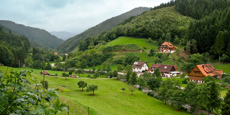 Scenic countryside village with lush greenery