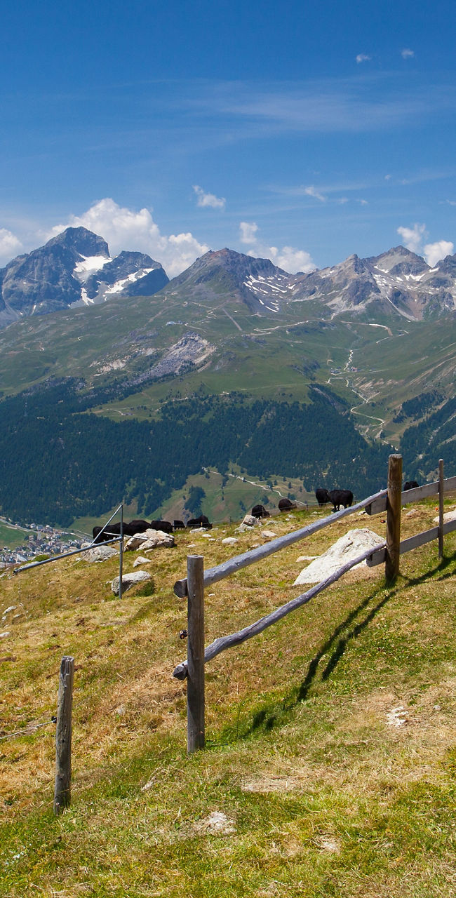 Swiss Alps landscape with flag and mountains