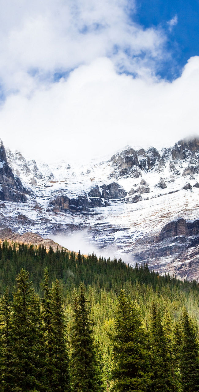 Snow-capped mountains with lush forest