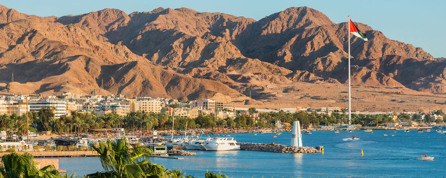 Coastal cityscape with mountains and flag