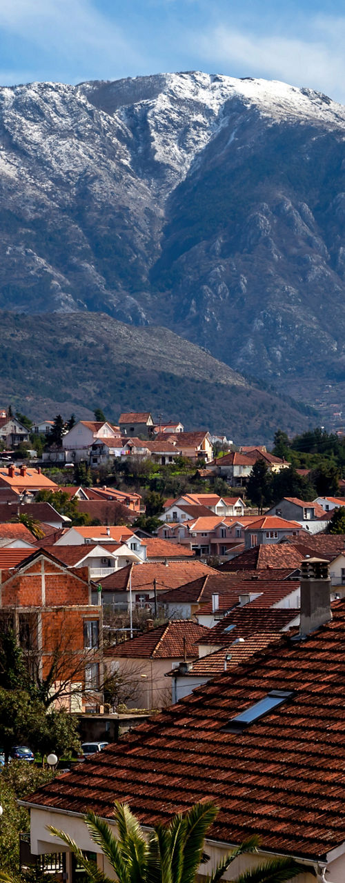 Snow-capped mountains above red-roofed residential town