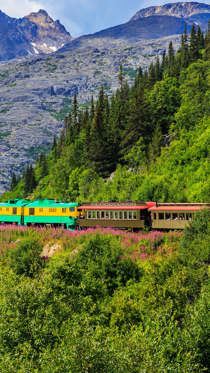 Scenic Train Journey Through Mountain Landscape