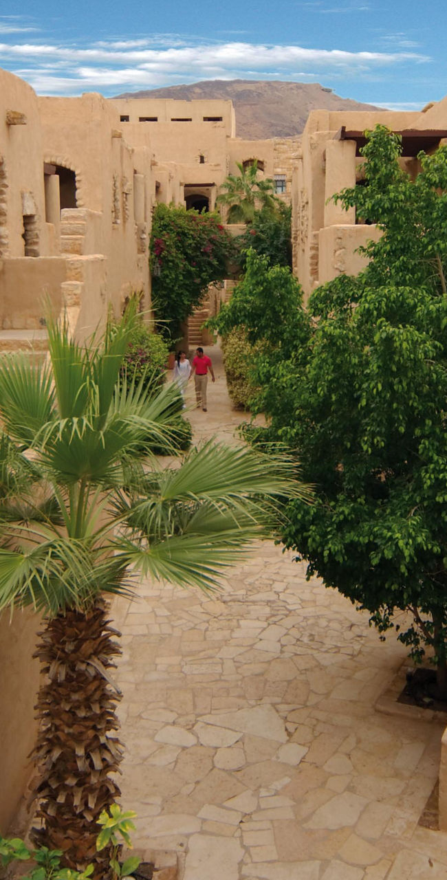 Traditional desert village with palm trees