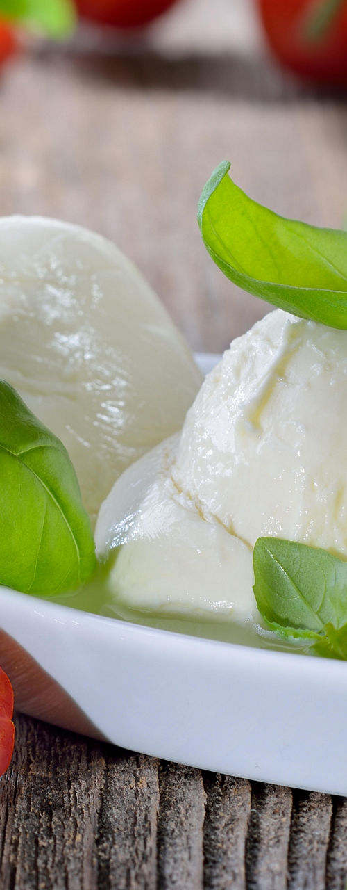 Fresh mozzarella with basil and cherry tomatoes