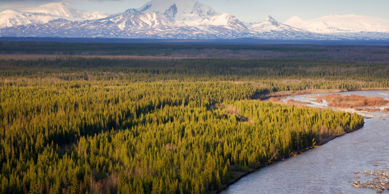 Snow-capped mountains and forest river view