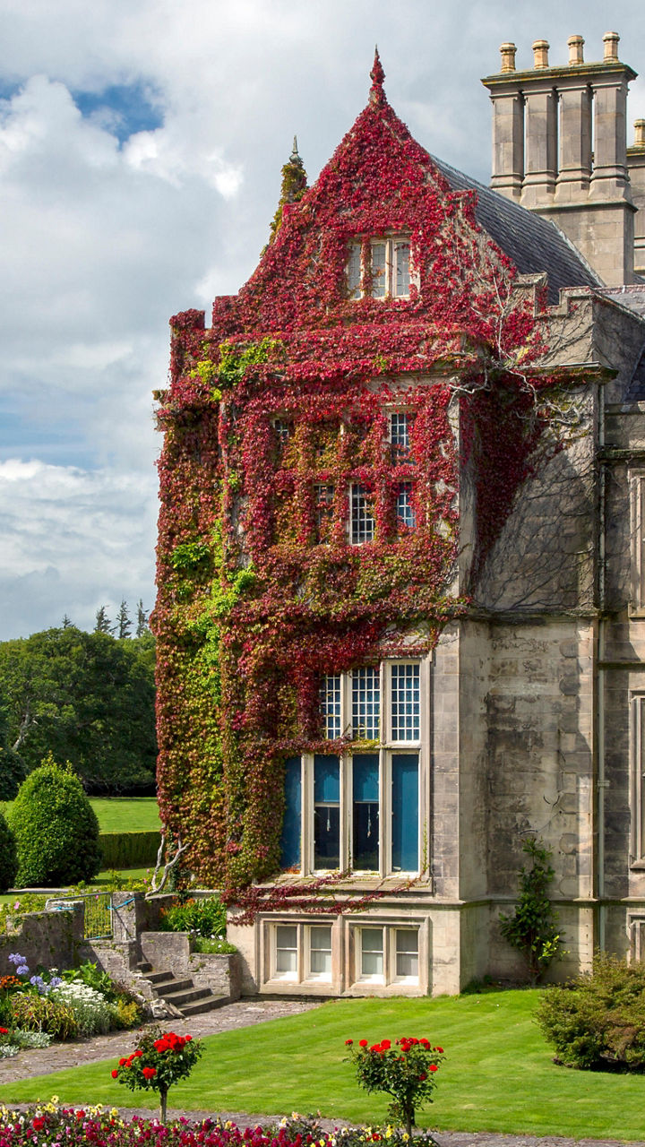 Muckross House & Scenic Killarney