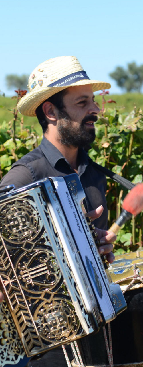 Musicians performing in vineyard setting