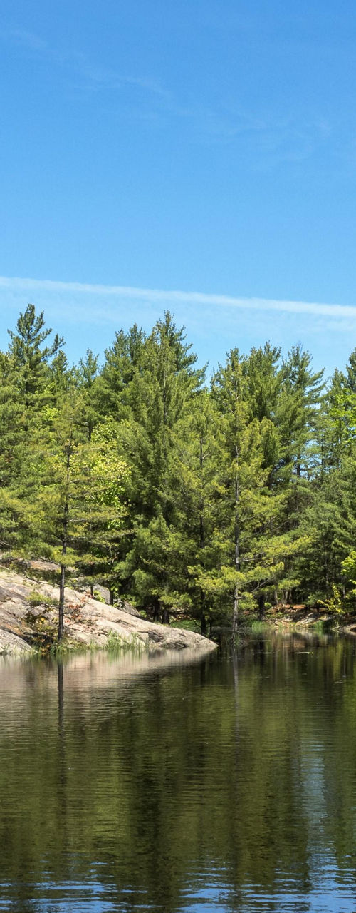 Serene forest lake under clear blue sky