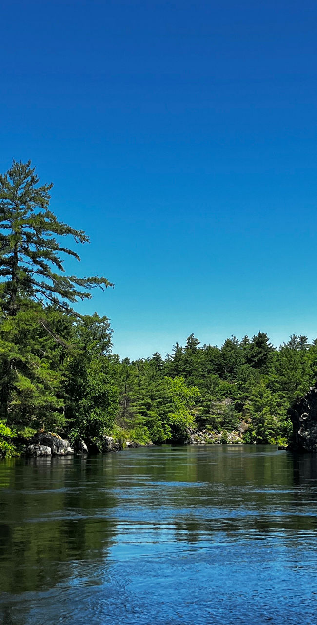 Serene River Landscape with Lush Greenery